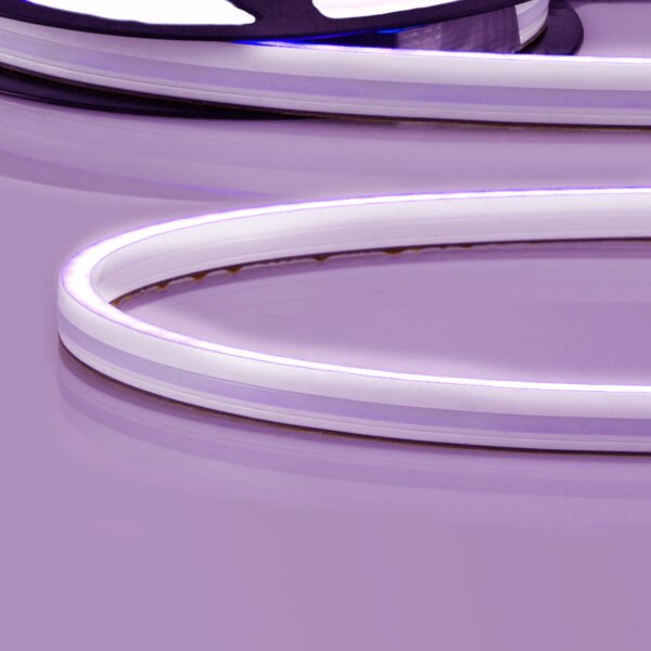 ISOLED 116200 LED NEON RGB Flexband B08H12, 24V DC, 14,4W, IP67, 5m Rolle, 140 LED/m, inkl. Montageclips