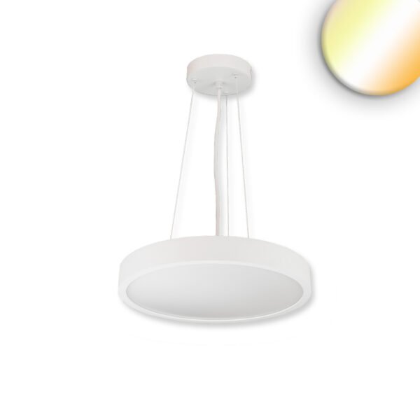 ISOLED 117517 LED Hängeleuchte UGR<19 2H, weiß, 30W, IP42, DN400, ColorSwitch 2700|3000|4000K, DALI dimmbar