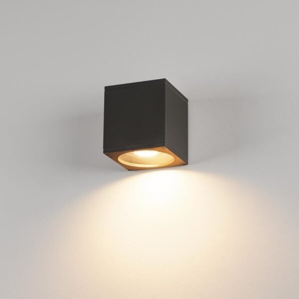 LI229565-- BIG THEO WALL OUT Wandleuchte, ES111, max. 75W, anthrazit<br><u>Verkaufseinheit: 1Stk</u>